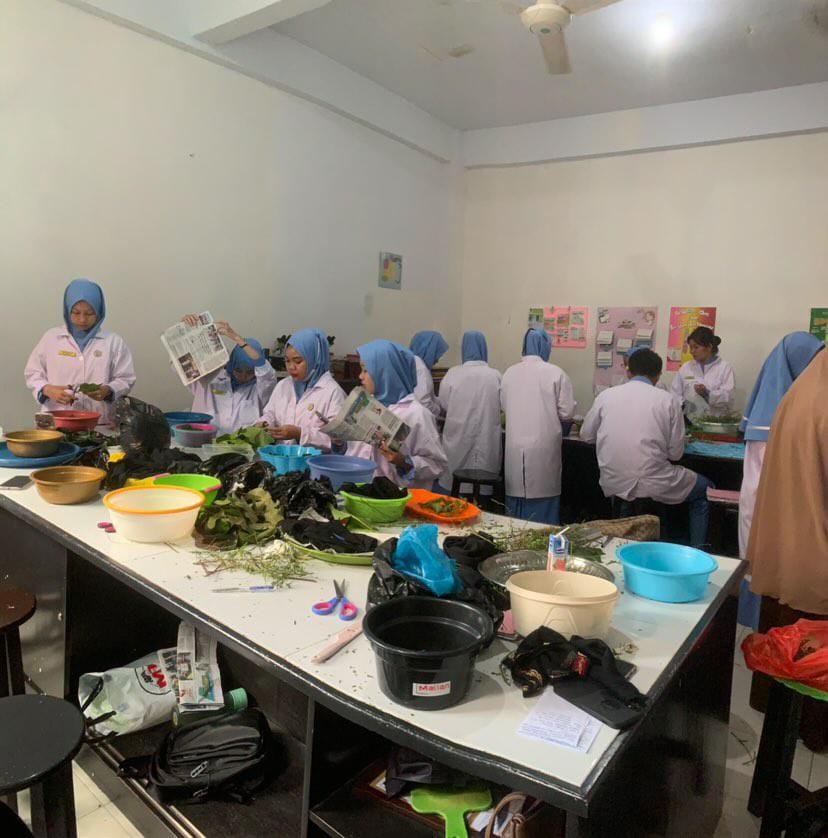 Praktikum Pembuatan Simplisia Tingkat  II Prodi Farmasi Politeknik Kaltara