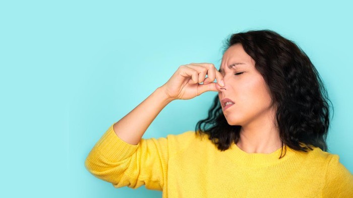 Cara Mengatasi Hidung Mampet Sebelah, Bisa Coba Humidifier agar Napas Lancar  