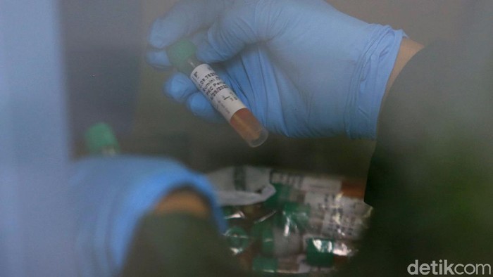 4 Provinsi Ini Laporkan Tidak Ada Kasus Baru Corona Per 9 November
